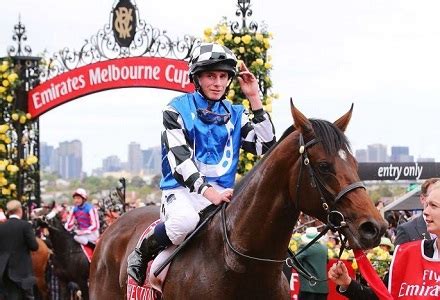 melbourne cup odds checker